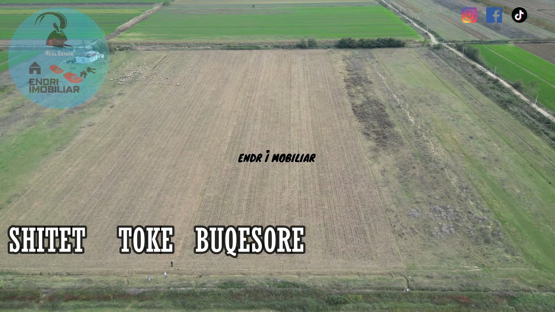 Shitet Toke buqesore