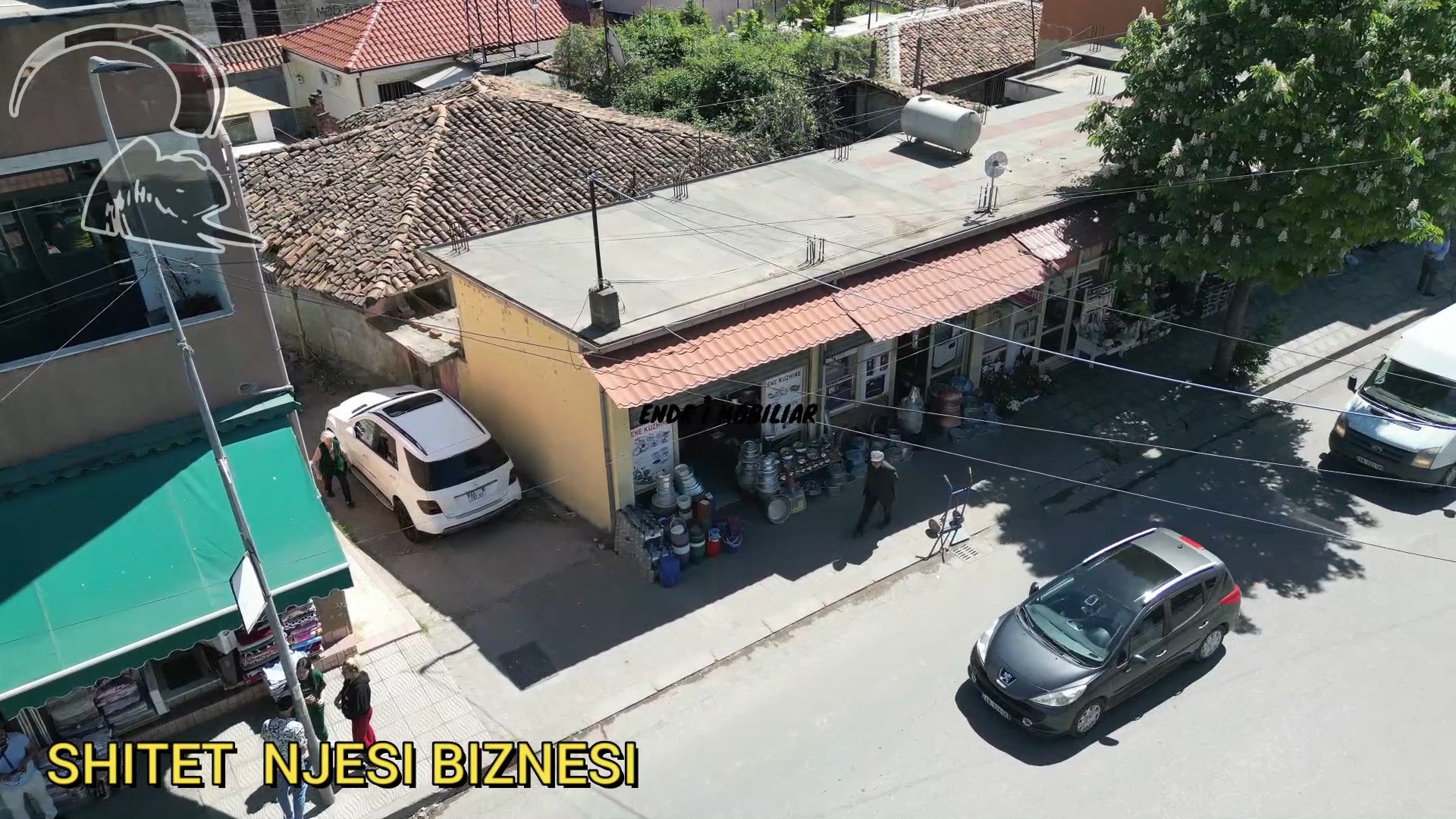 SHITET NJESI BIZNESI