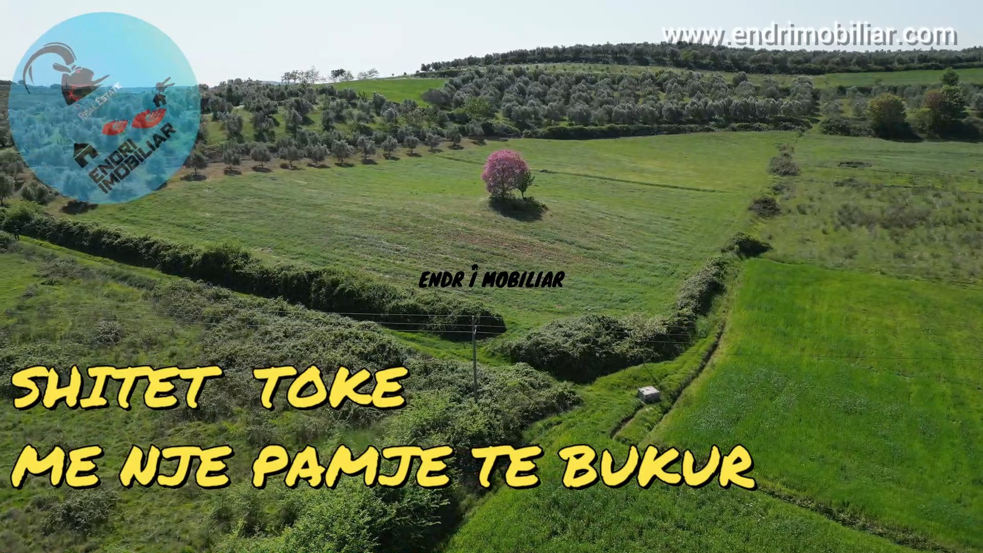 SHITET TOKE ME PAMJE TE BUKUR