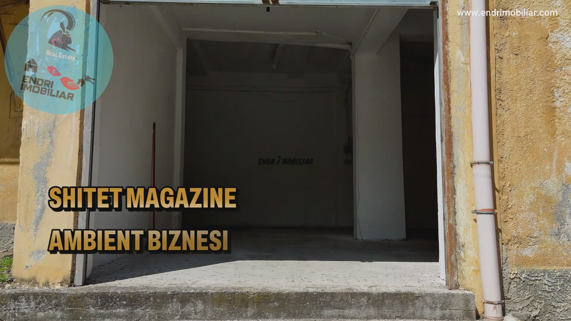 Shitet Magazine e vogel