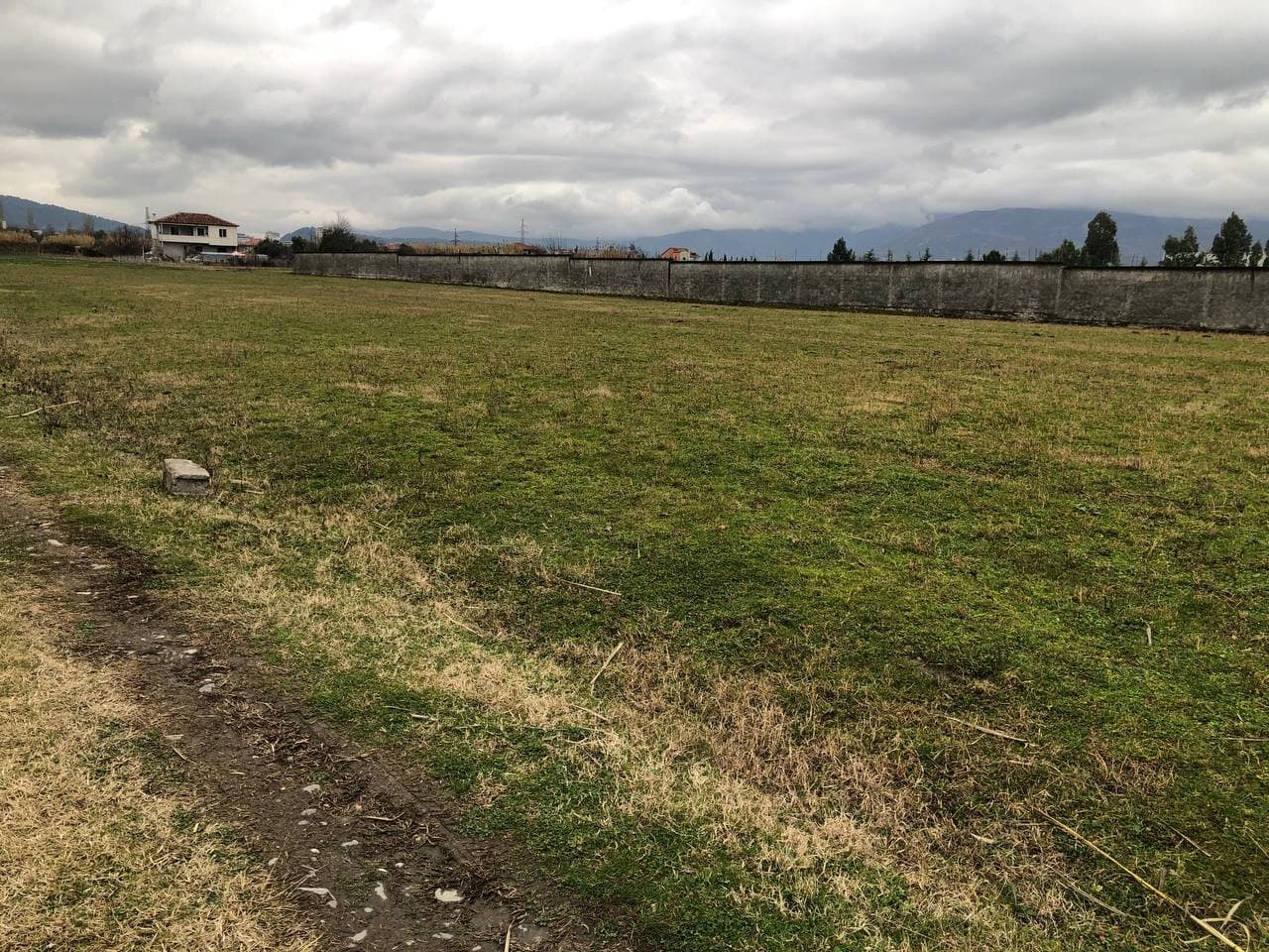 Shitet Toke per Biznes