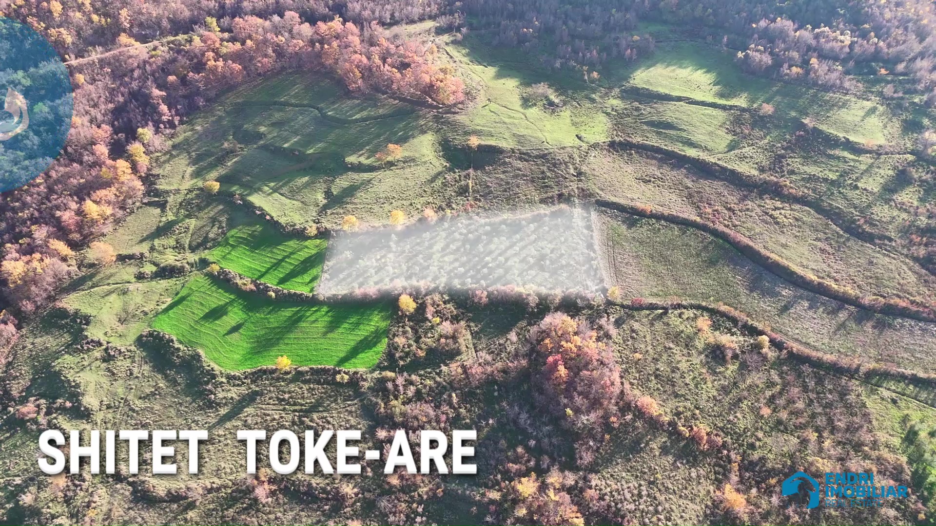 Shitet Toke Are ne Shelcan